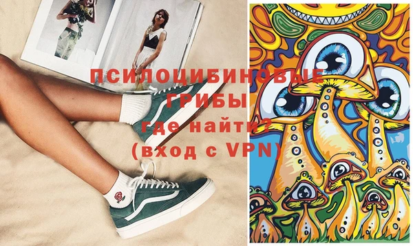 тгк Магадан