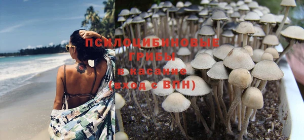 дмт Бугульма