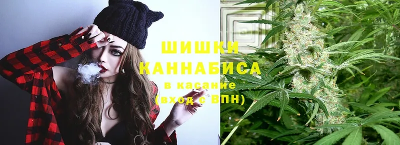 Конопля SATIVA & INDICA  даркнет как зайти  Венёв 